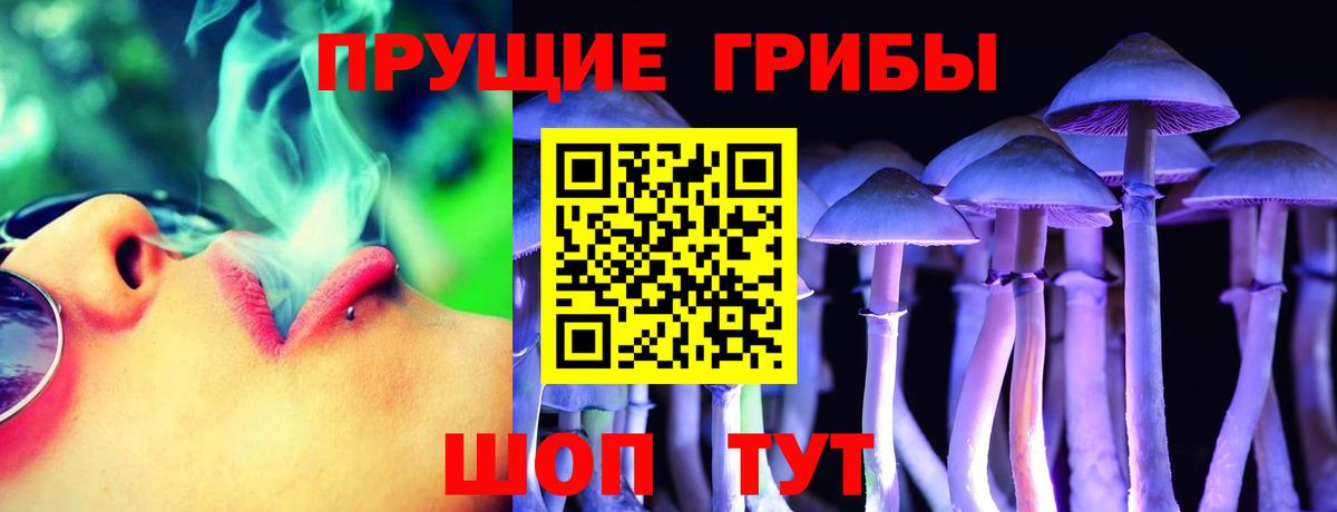 Псилоцибиновые грибы Psilocybine cubensis  Вход с VPN  Галлюциногенные грибы Psilocybine cubensis  Артём 